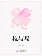 枝与鸟在线阅读