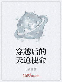 穿越后的天道使命