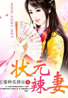 状元辣妻在线阅读