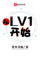 從LV1開始在線閱讀