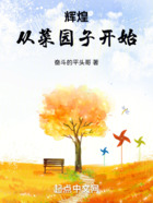 辉煌从菜园子开始在线阅读