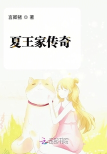 夏王家傳奇