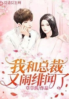 我和总裁又闹绯闻了