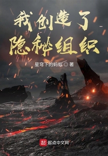 我創造了隱秘組織