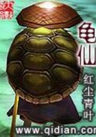 龟仙