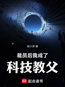 裁员后,我成了科技教父在线阅读