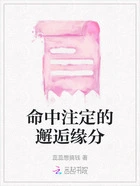 命中注定的邂逅缘分在线阅读