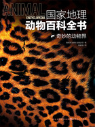 奇妙的动物界(国家地理动物百科全书)在线阅读