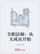 全职法师:从大风灾开始在线阅读