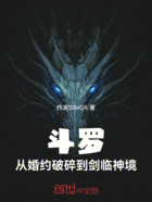 斗罗:从婚约破碎到剑临神境在线阅读