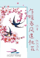 乍暖春風遇桃花在線閱讀