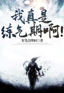 我真是练气期啊 cover