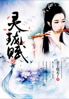 靈瓏賦在線閱讀