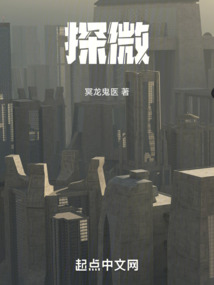 探微