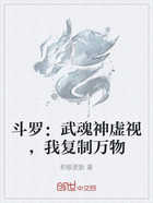 斗罗：武魂神虚视，我复制万物