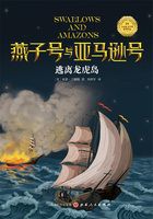 逃离龙虎岛(燕子号与亚马逊号)在线阅读