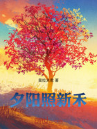 夕阳照新禾在线阅读