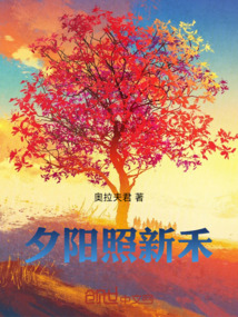 夕陽(yáng)照新禾