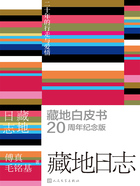 藏地日志:二十年的行走与爱情在线阅读