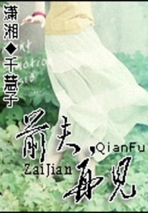 前夫再见