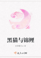 黑貓與錦鯉在線閱讀