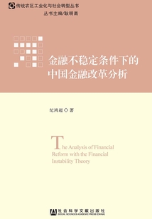 金融不穩定條件下的中國金融改革分析
