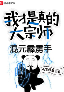 我才是真的大宗師