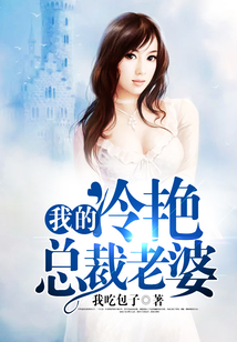 我的冷艳总裁老婆