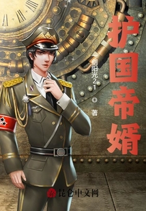 護(hù)國(guó)帝婿