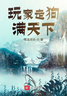 玩家走狗满天下在线阅读