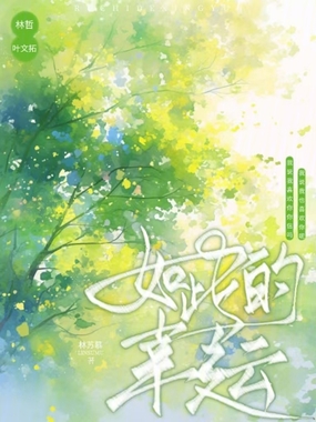 如此的幸运在线阅读