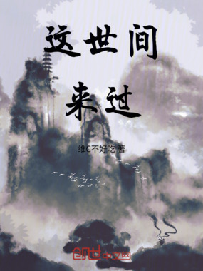 这世间来过在线阅读