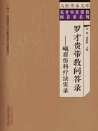 罗才贵带教问答录：峨眉伤科疗法实录在线阅读