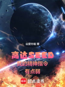 高達(dá)SEED我的精神指令有點(diǎn)弱