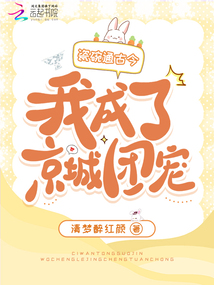 瓷碗通古今,我成了京城團寵