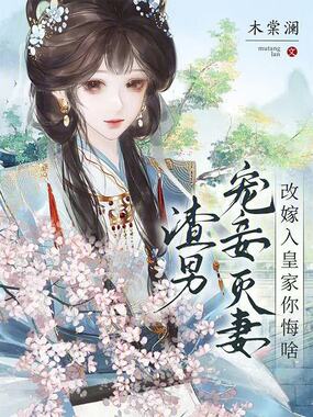 渣男宠妾灭妻？改嫁入皇家你悔啥在线阅读