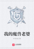 我的魔獸老婆在線閱讀