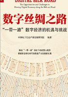 数字丝绸之路：“一带一路”数字经济的机遇与挑战