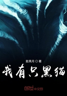 我有只黑貓