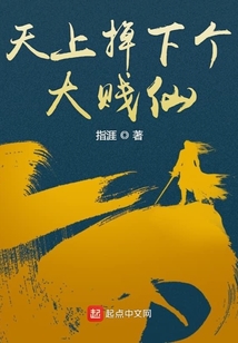 天上掉下个大贱仙