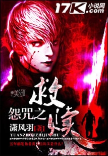 怨咒之救贖