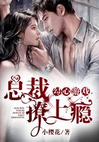 勾心游戏:总裁,撩上瘾