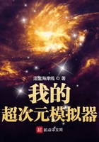 我的超次元模擬器在線閱讀