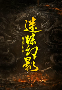 迷蹤幻影