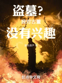 盗墓?我对古董没有兴趣 封面