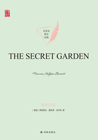 秘密花园（The Secret Garden）在线阅读