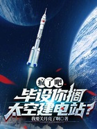 疯了吧，毕设你搁太空建电站？在线阅读