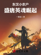 东汉小农户，盛唐英魂崛起在线阅读