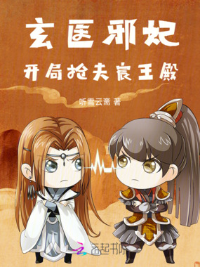 玄医邪妃:我的王妃会画符在线阅读