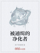 被通緝的凈化者在線閱讀